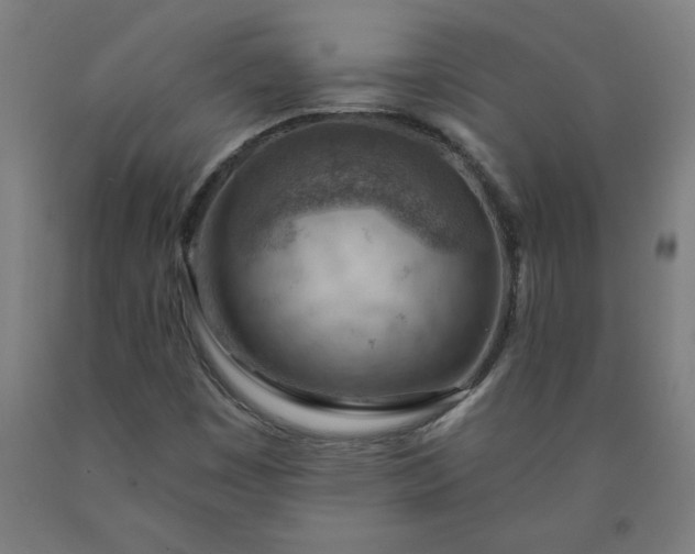 X0000090631449200707311255