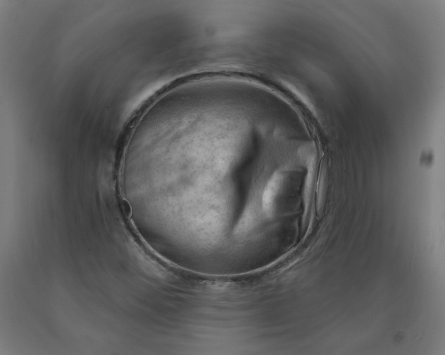 X0000090631452200707311255