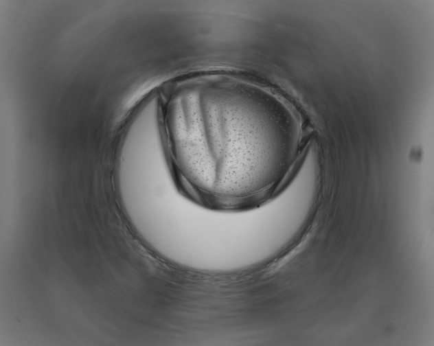 X0000090631453200707311255