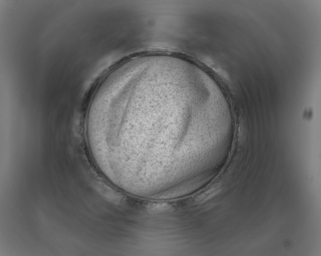 X0000090631454200707311255