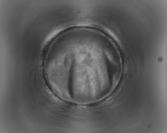 X0000090631456200707311255