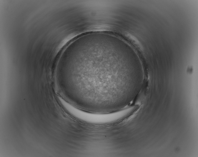 X0000090631457200707311255