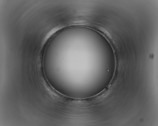 X0000090631458200707311255
