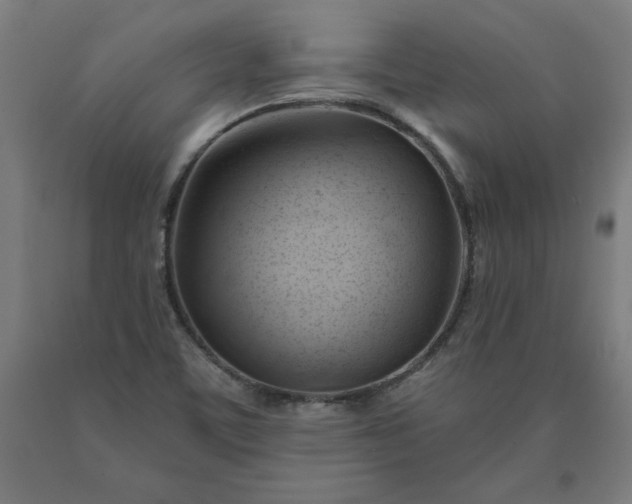 X0000090631459200707311255