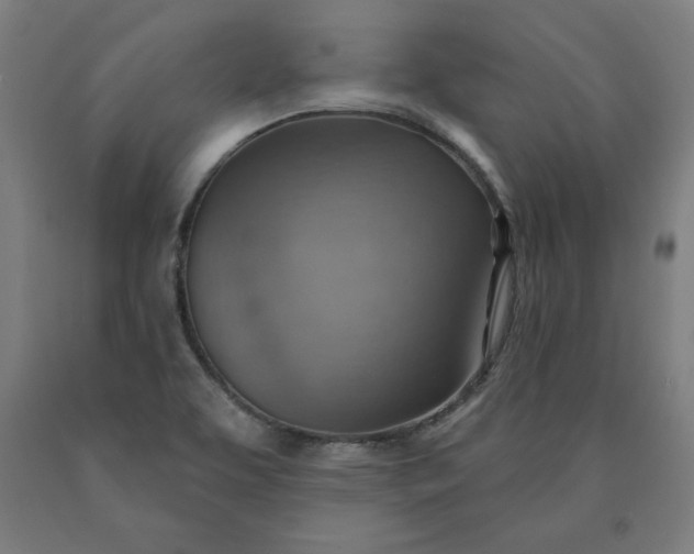 X0000090631463200707311255