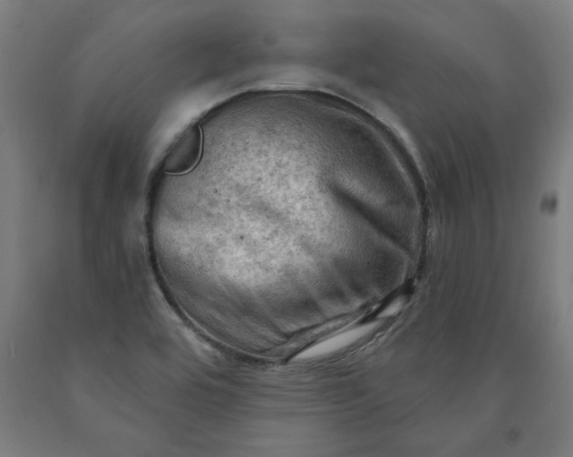 X0000090631464200707311255