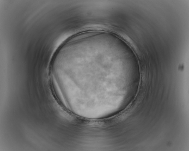 X0000090631466200707311255