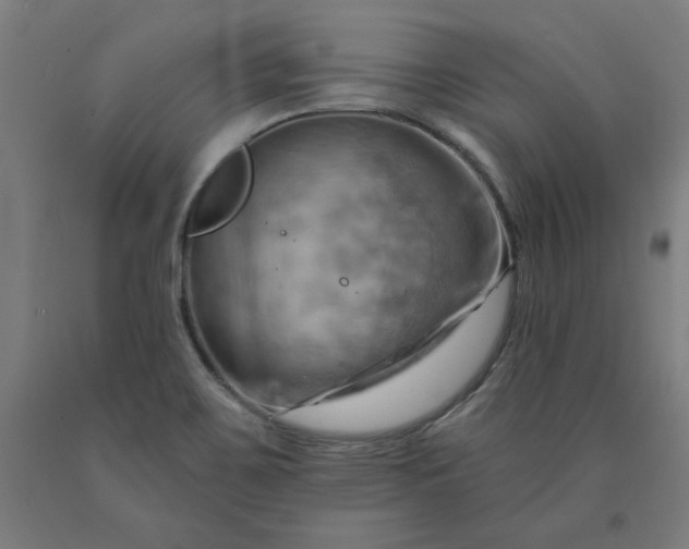 X0000090631467200707311255