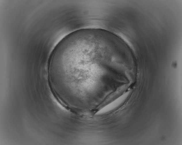 X0000090631468200707311255