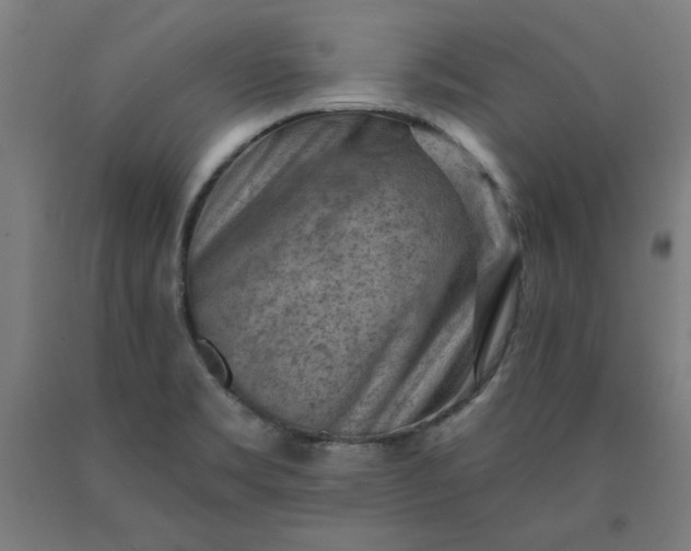 X0000090631469200707311255