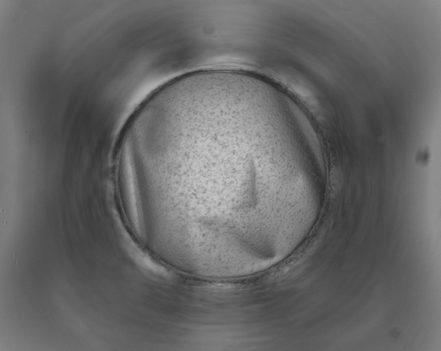 X0000090631470200707311255