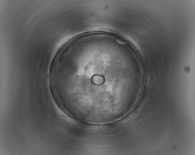 X0000090631471200707311255