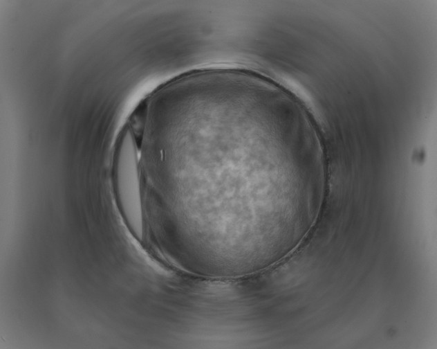 X0000090631472200707311255