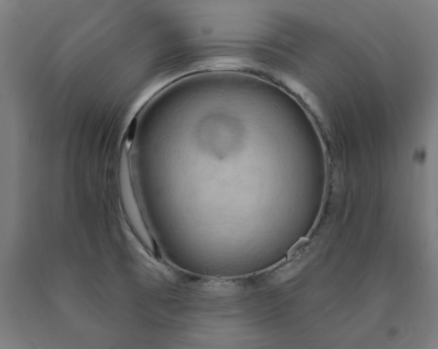 X0000090631473200707311255