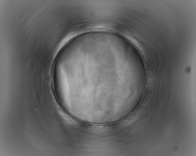X0000090631474200707311255