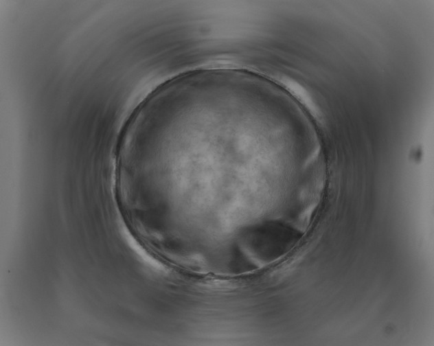 X0000090631476200707311255