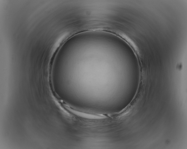 X0000090631477200707311255