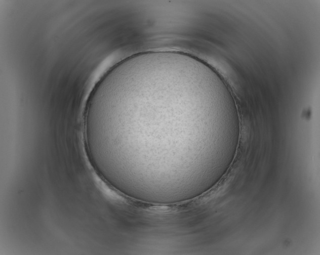 X0000090631478200707311255