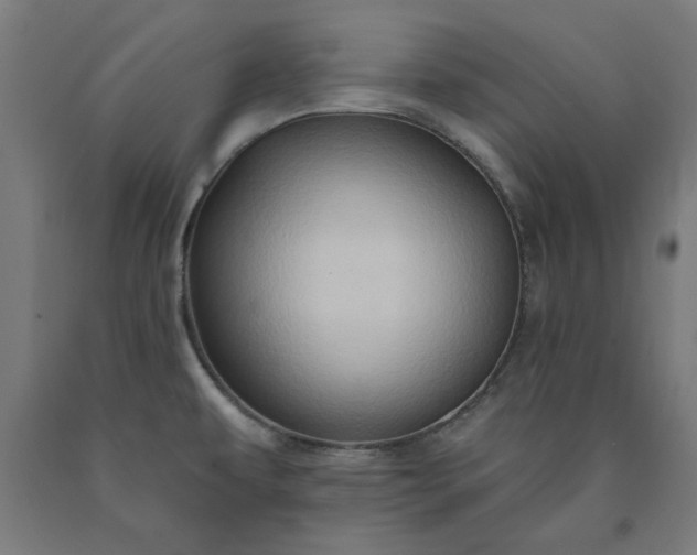 X0000090631479200707311255
