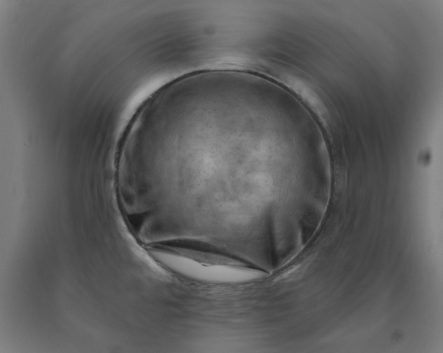 X0000090631480200707311255
