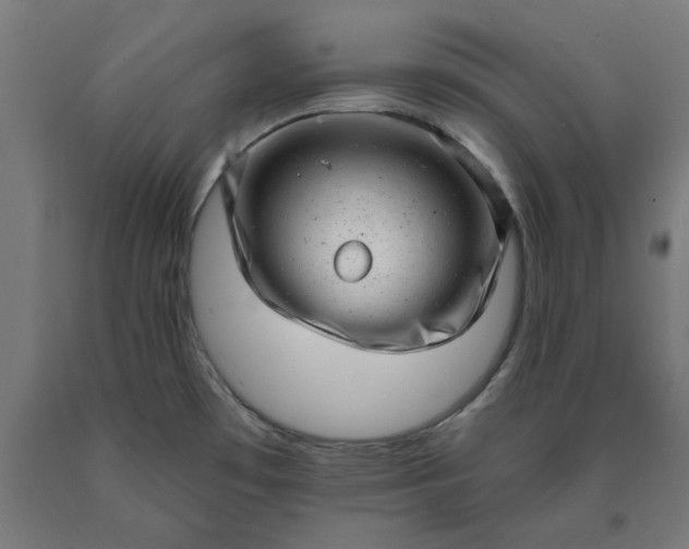 X0000090631481200707311255