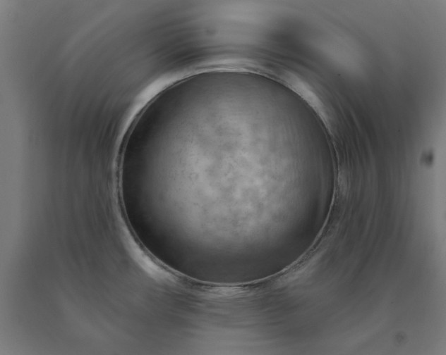 X0000090631482200707311255