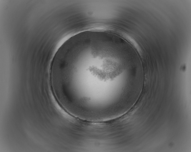 X0000090631483200707311255