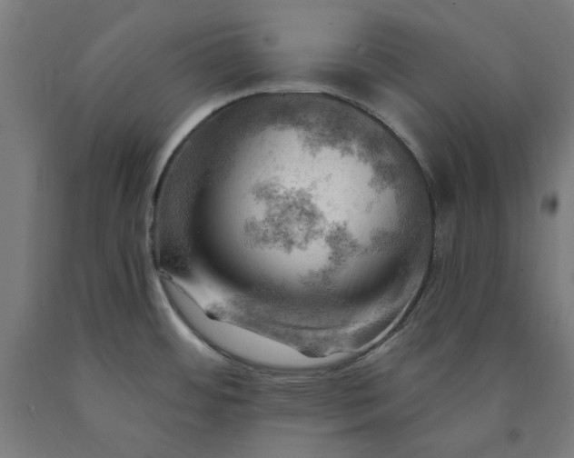X0000090631484200707311255