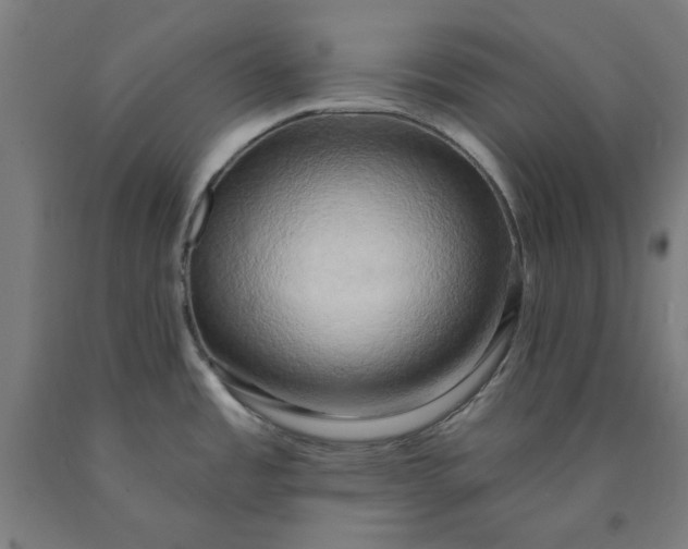 X0000090631485200707311255