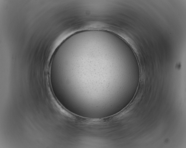 X0000090631486200707311255