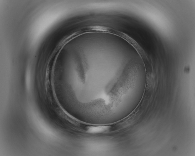 X0000090631487200707311255