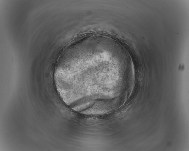 X0000090631489200707311254