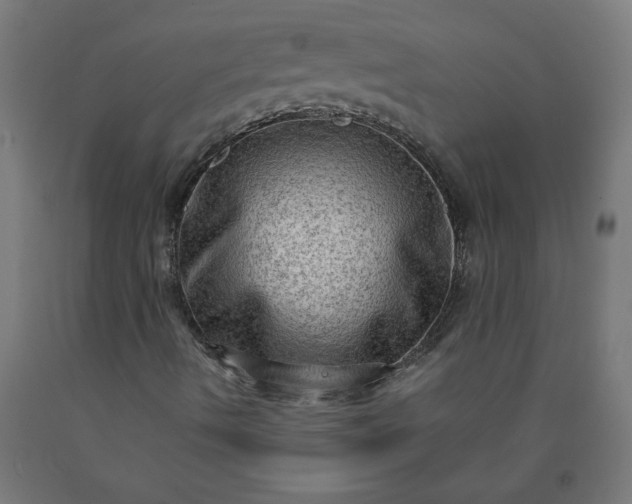 X0000090631490200707311254