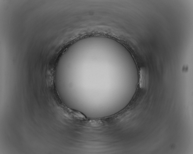 X0000090631491200707311254