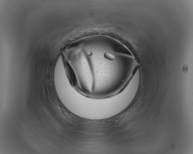 X0000090631492200707311254