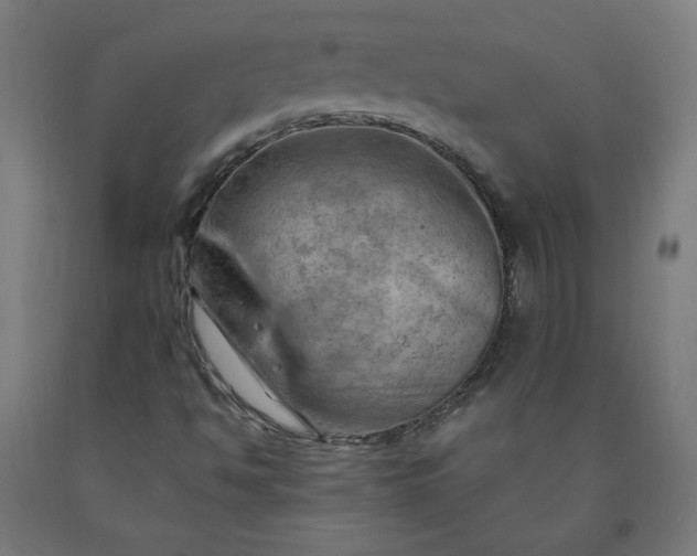 X0000090631494200707311254