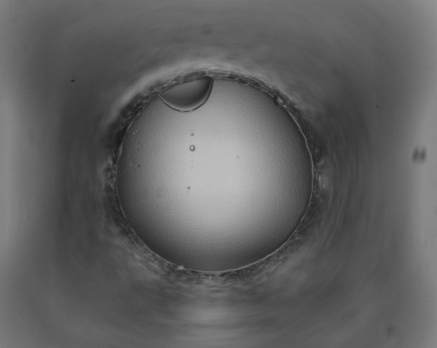 X0000090631495200707311254
