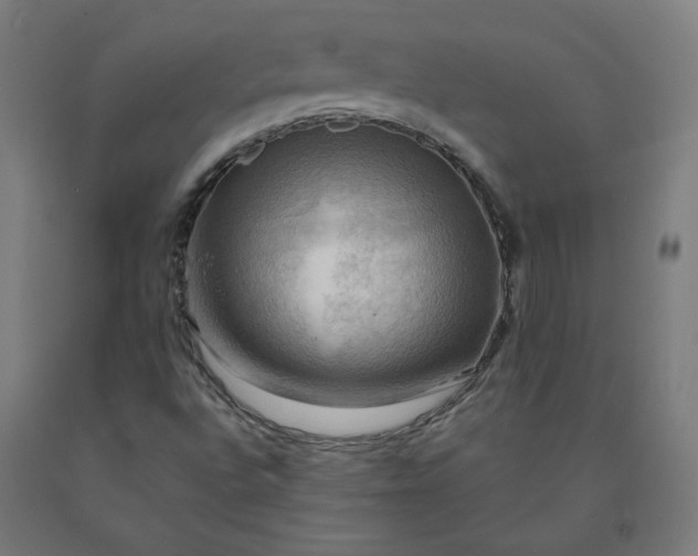 X0000090631496200707311254