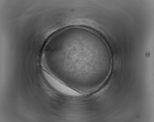 X0000090631497200707311254