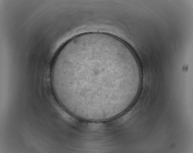 X0000090631498200707311254