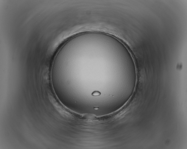 X0000090631499200707311254