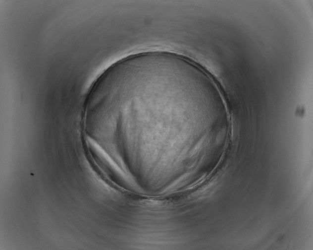 X0000090631500200707311254