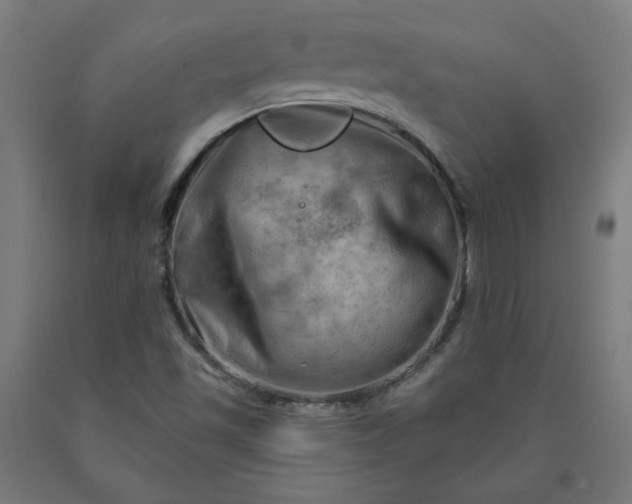X0000090631501200707311254