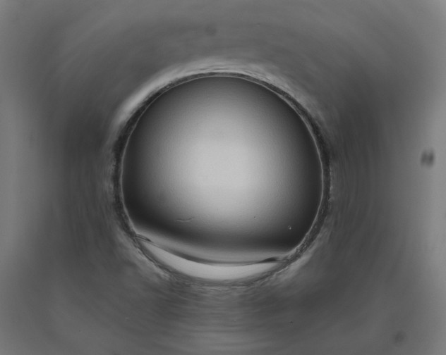 X0000090631502200707311254