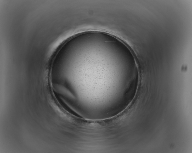 X0000090631503200707311254