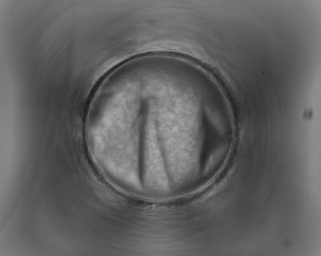 X0000090631505200707311254