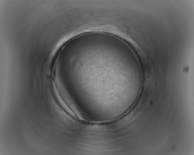 X0000090631506200707311254