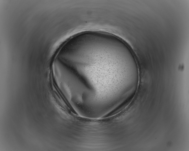 X0000090631507200707311254