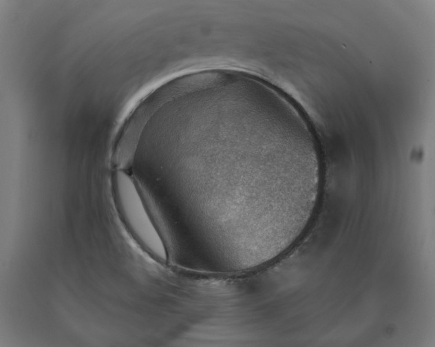 X0000090631508200707311254