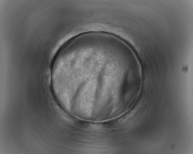 X0000090631509200707311254